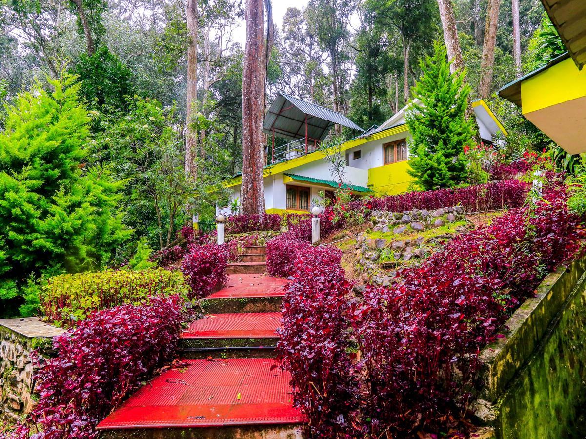 Oyo 4651 Woodpecker Resort Munnar Exterior foto